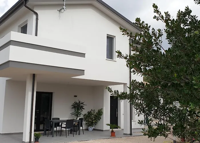 B&B Juniperus